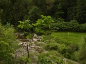 DSC08046.JPG
